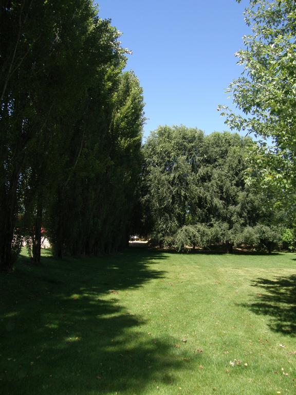 Agriturismo Greppi Crescentino エクステリア 写真