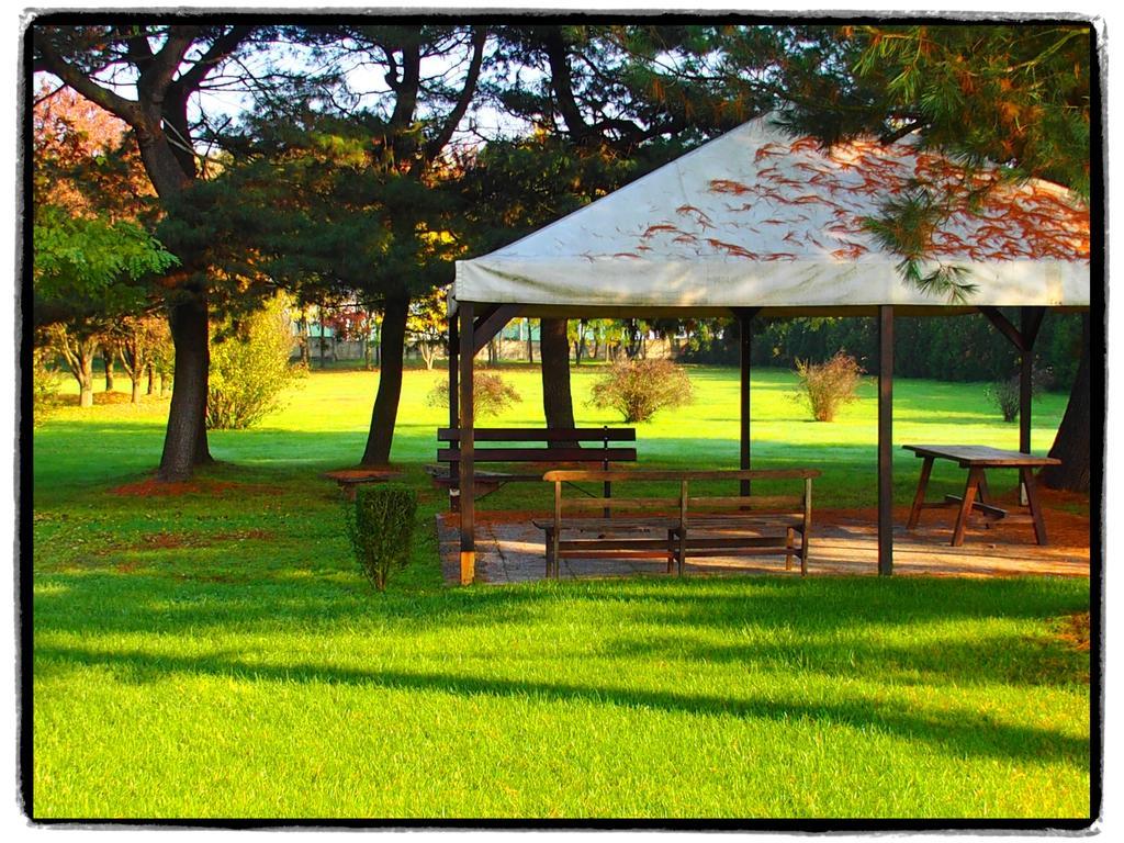 Agriturismo Greppi Crescentino エクステリア 写真